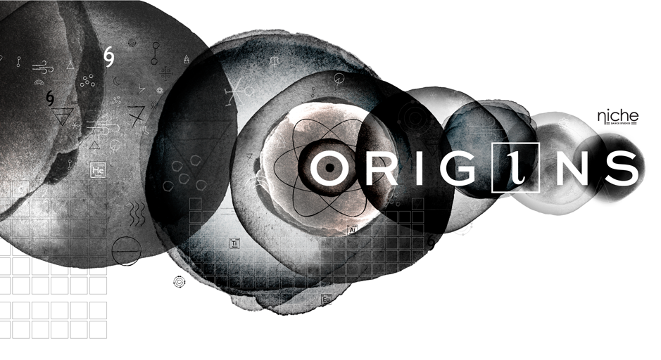 Niche Origins