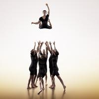A group of people in black wait to catch a performer from the air