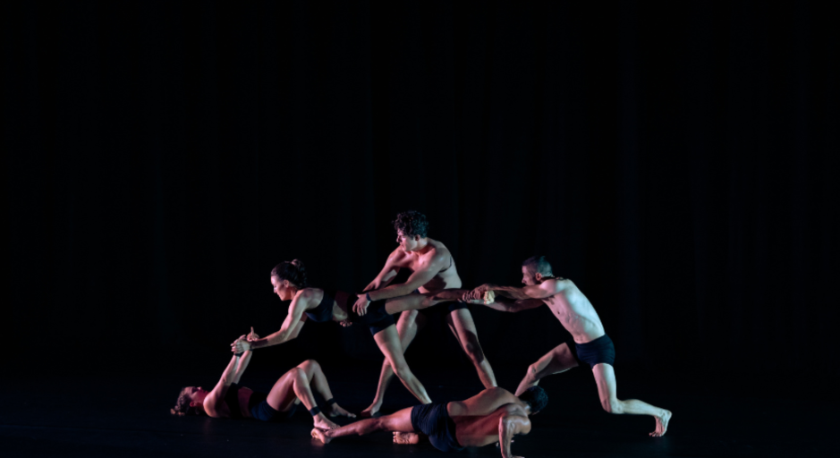 circus performers in formation