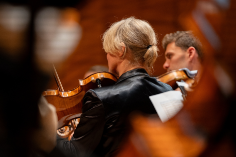 Back of a woman in an orchestra playing a viola