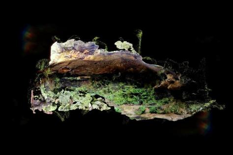 Still from a video depicting an artist created landscape.
